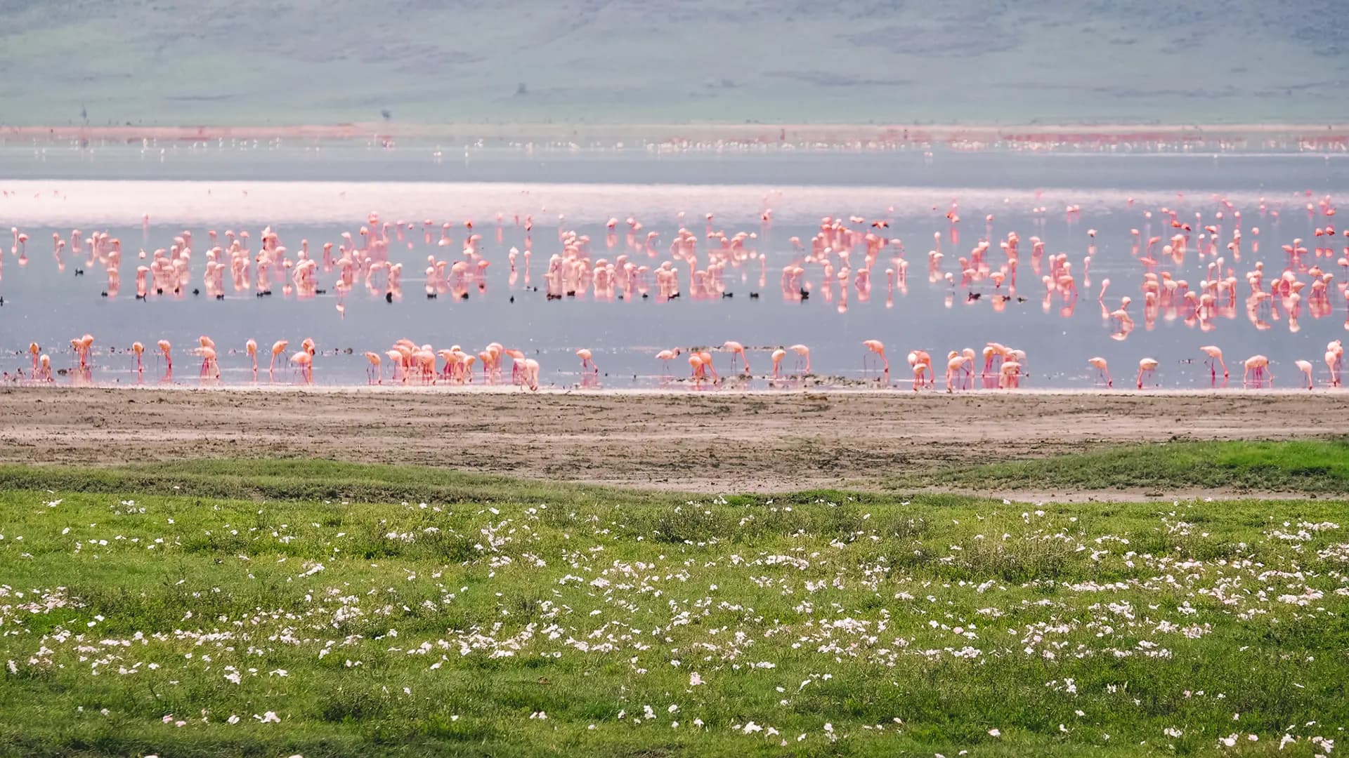 10 Reasons to Go on Safari in Northern Tanzania