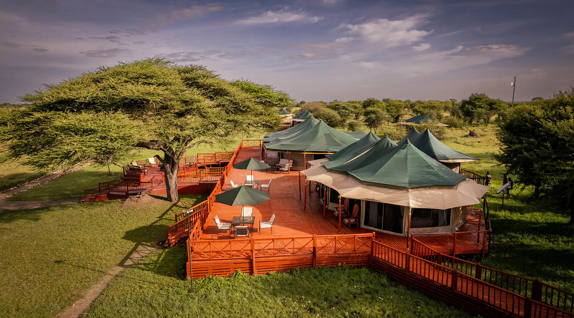 Best Places to Stay in the Serengeti to Follow the Great Migration