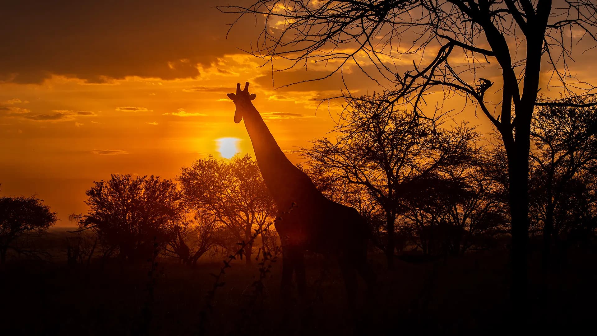 Nearby Parks and Attractions to the Serengeti For a More Well Rounded Tanzania Adventure Experience