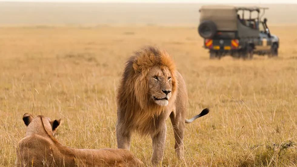 Tarangire vs Serengeti vs Ngorongoro: Should You Choose One—or All Three?
