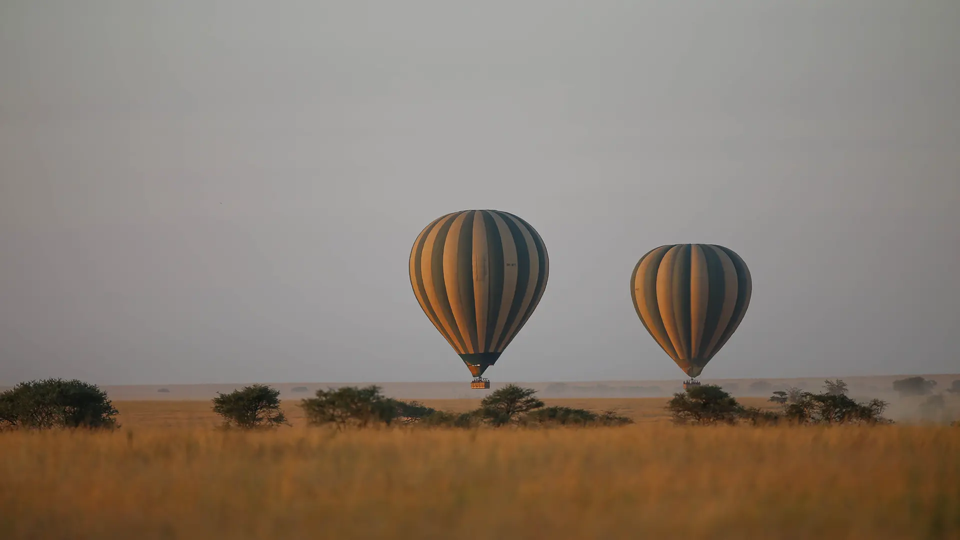 What Makes a Balloon Safari in the Serengeti a Once in a Lifetime Experience