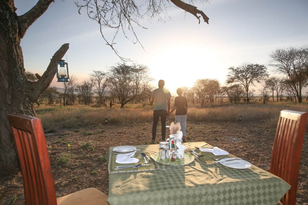 Why Tarangire is Perfect for Solo Travelers and Couples