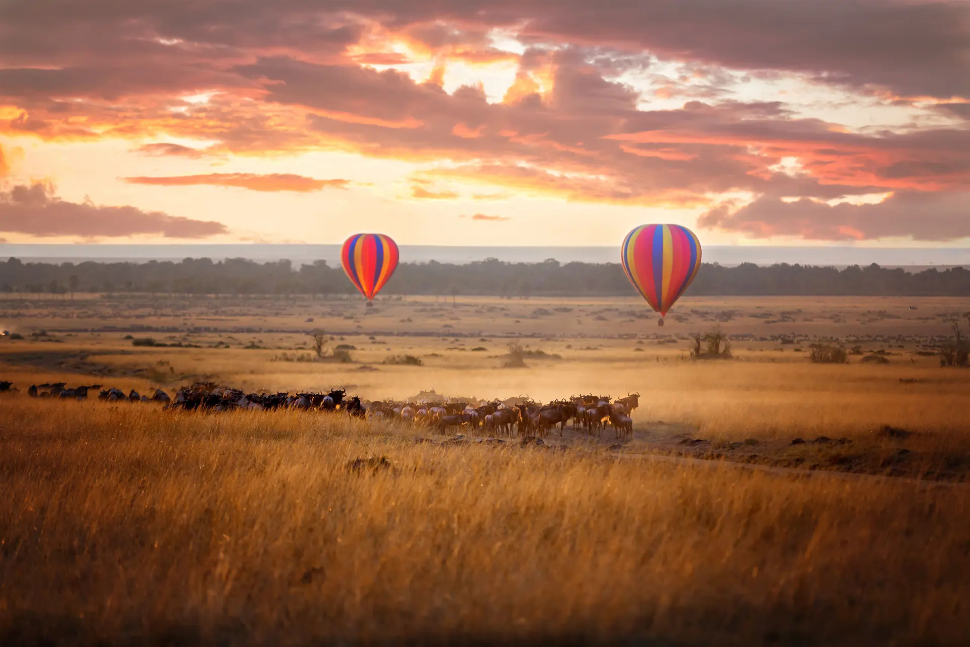Why Visiting Serengeti Should be on your Bucket List