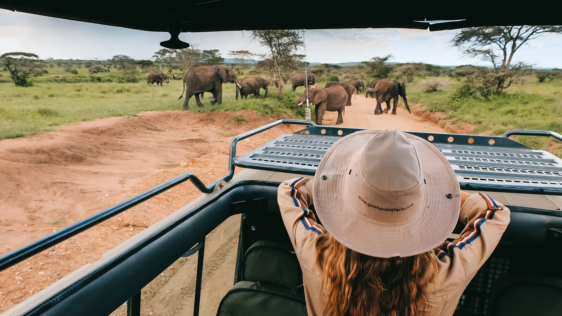Why you should visit Serengeti in your lifetime