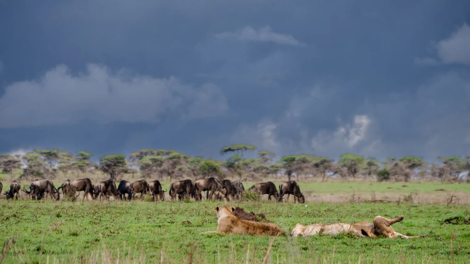 Serengeti National Park