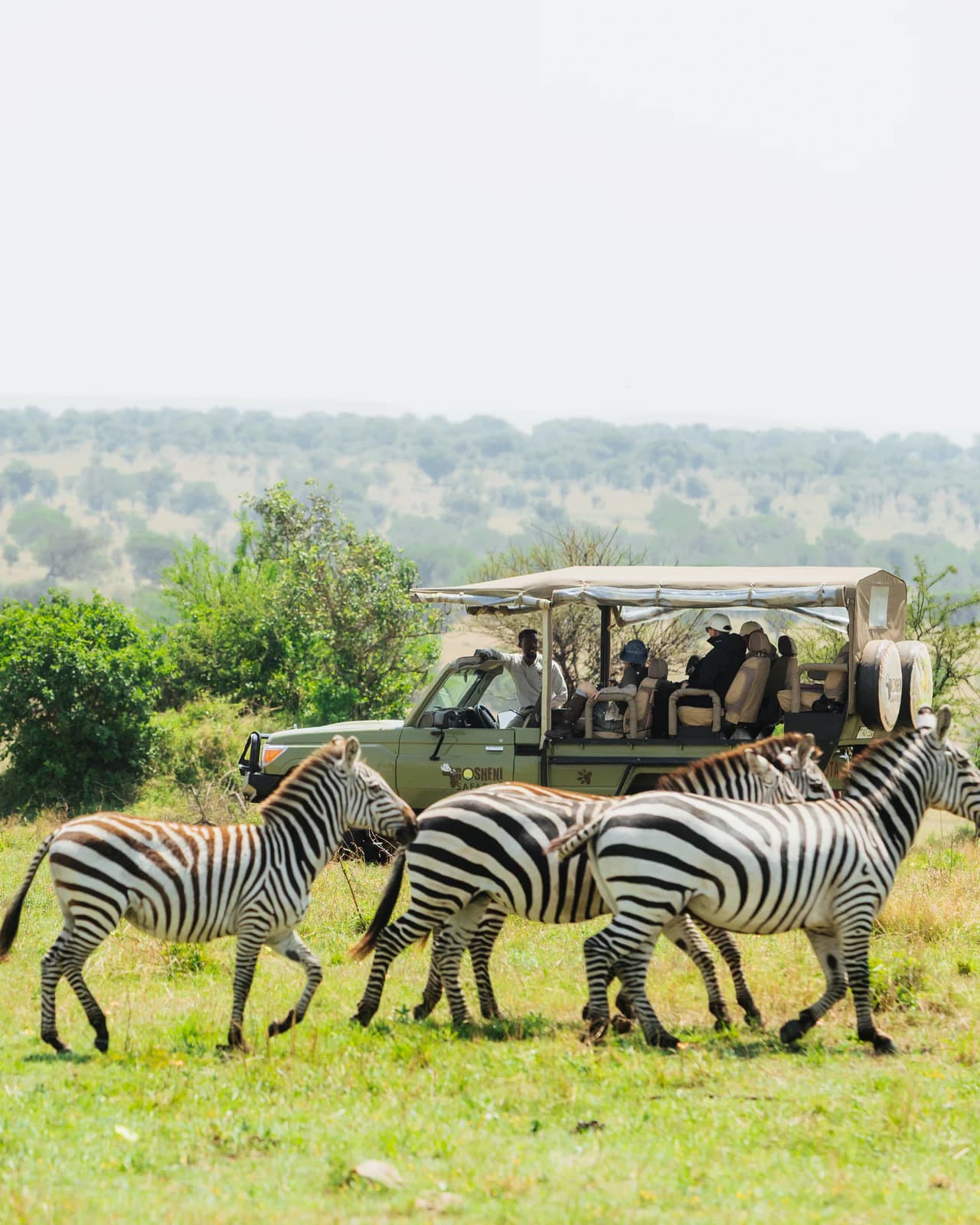 gosheni open jeep - 59_(2048)