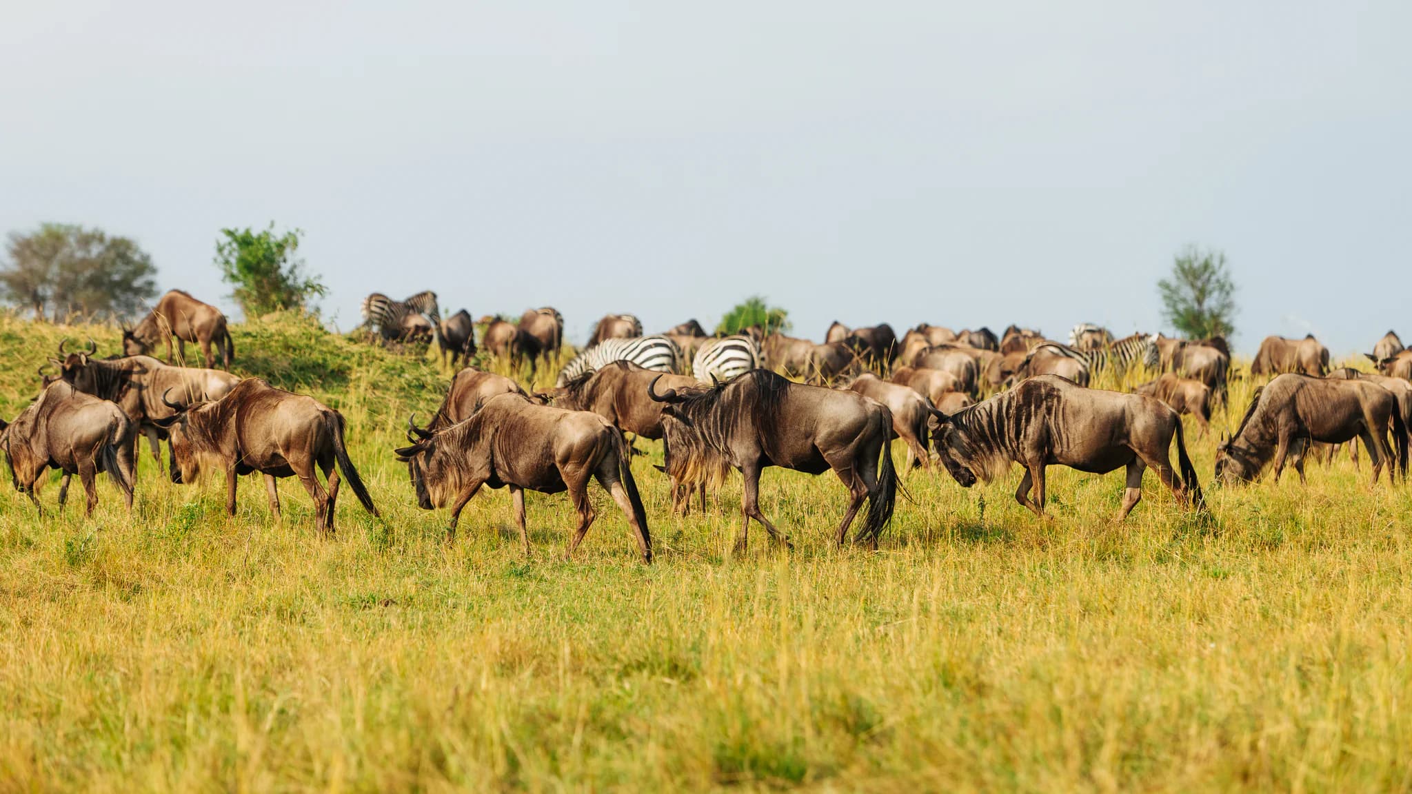 Explore Our Destinations