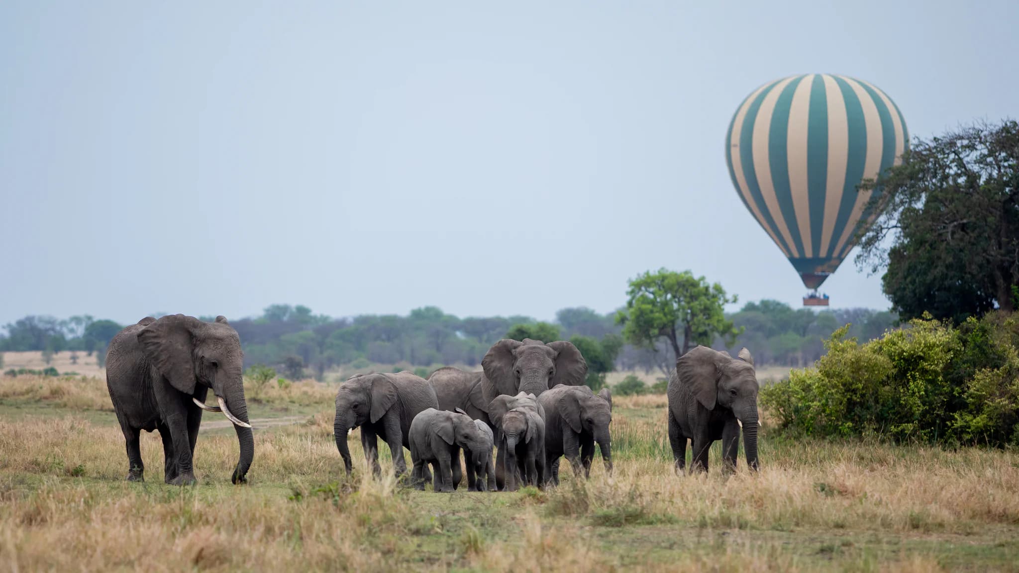 4 Days Explore Serengeti Safari