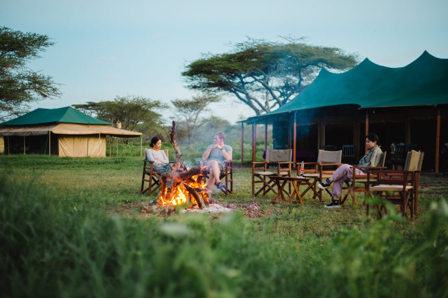 Acacia Migration Camp