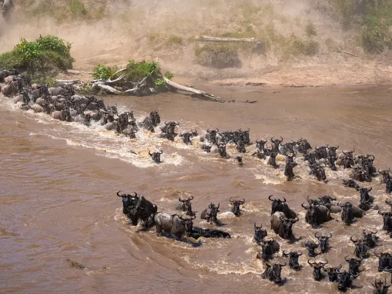 5 Days Serengeti River Crossing Migration Safari - Day 1 (1)