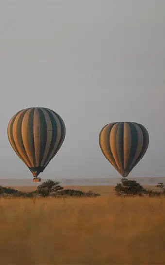 Balloon_Safari