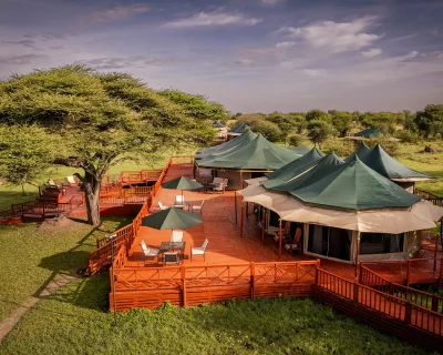 Best Places to Stay in the Serengeti to Follow the Great Migration