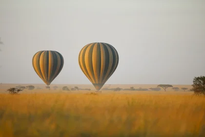 Grumeti Migration Safari-hero