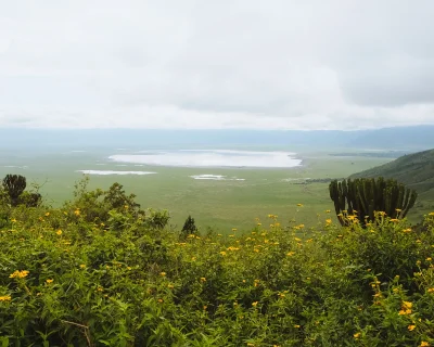 Grumeti Migration Safari-ngorongoro