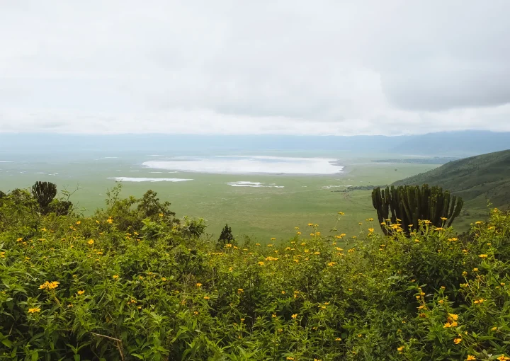 Grumeti Migration Safari-ngorongoro