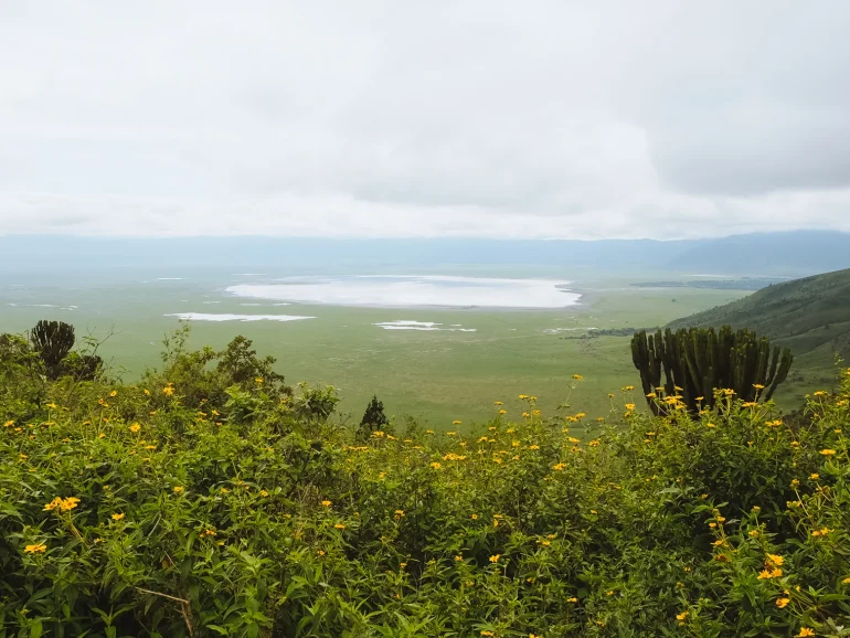 Grumeti Migration Safari-ngorongoro