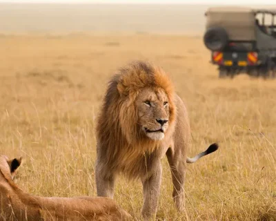 Masai-Mara-980-pt2-3