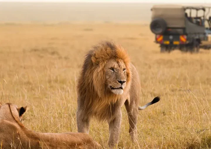 Masai-Mara-980-pt2-3