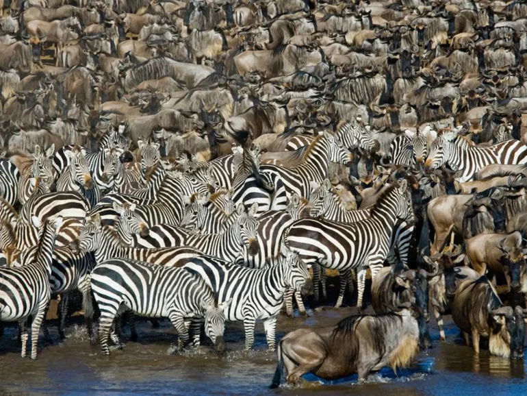 Serengeti National Park-7