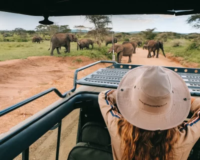 Why you should visit Serengeti in your lifetime